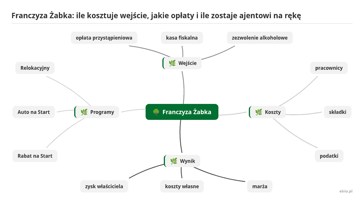 Mapa myśli: Franczyza Żabka, gałęzie: Wejście, Koszty, Wynik, Programy